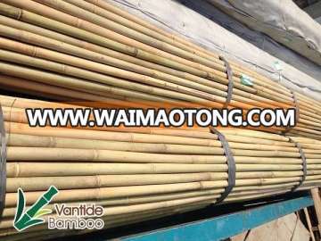 bamboo raw material bamboo pole