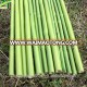 NEW! ZY-1023 Bamboo Sticks in Plastic Coat Bamboo Poles with Plastic Tube Cover PVC Coat Bamboo